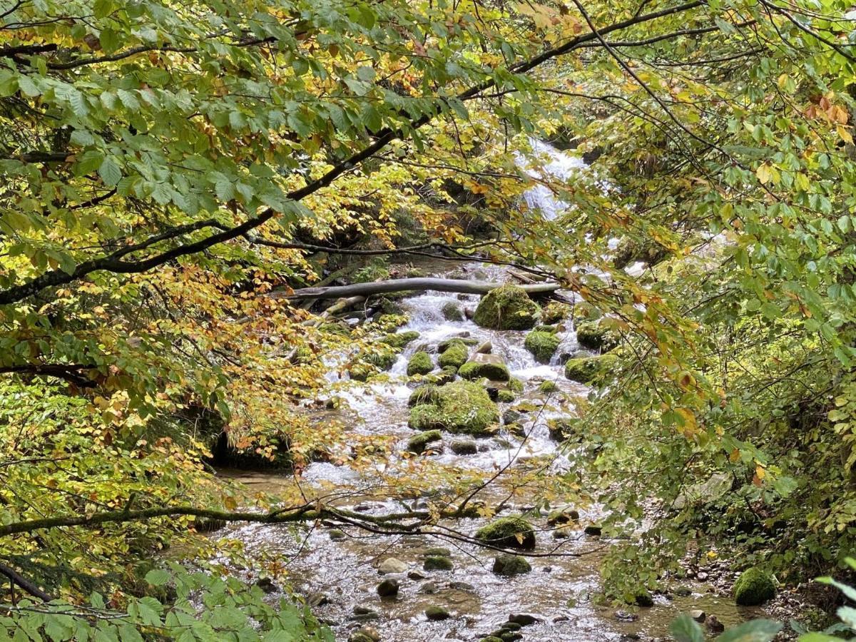 Berg & Tal Leilighet Oberstaufen Eksteriør bilde